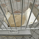 Illustration for article titled Arch Criminals Make Off With Baltimores Only Memory Of Cal Ripken Jr.
